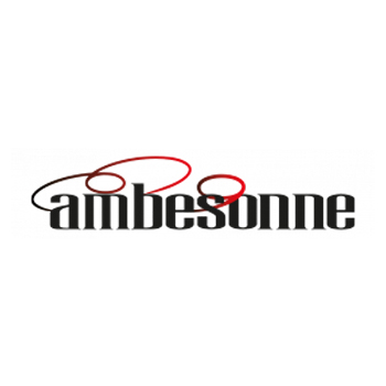 Ambesonne