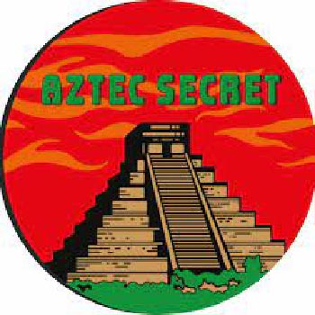 Aztec Secret