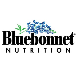 Bluebonnet