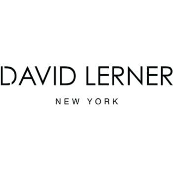 David Lerner