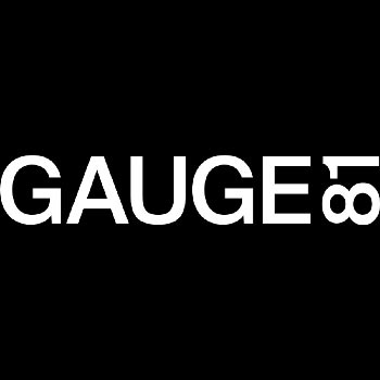 Gauge81