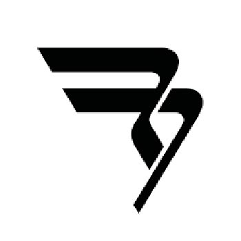 REMAIN Birger Christensen