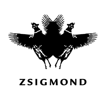 Zsigmond
